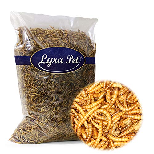 Lyra Pet® 1 kg Mehlwürmer 1000 g getrocknet Futter für Fische Nager Igel Reptilien
