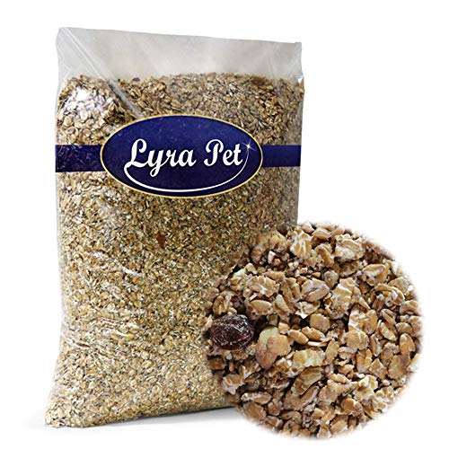Lyra Pet® 25 kg Fettfutter 25000 g Vogelfutter Amseln Beste Zutaten Wildvögel